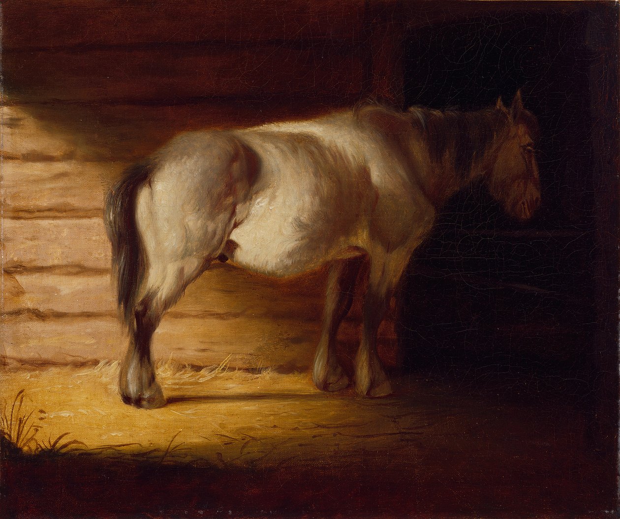 Viejo caballo de campo, por 1856 (óleo sobre lienzo) de George Caleb Bingham