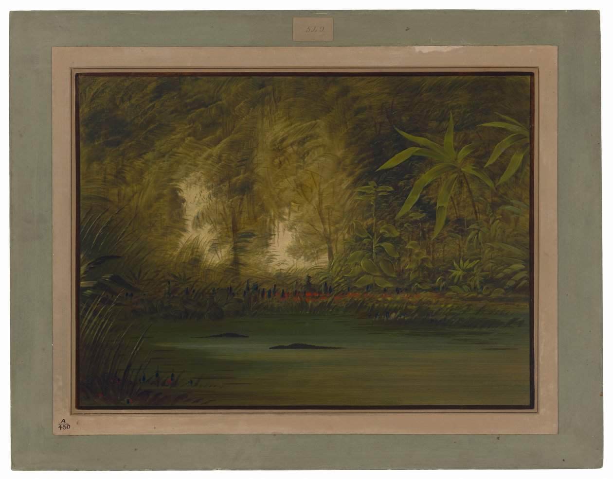 Una laguna del Alto Amazonas de George Catlin