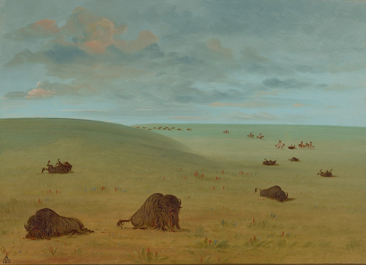 Después de la Caza del Búfalo - Sioux de George Catlin