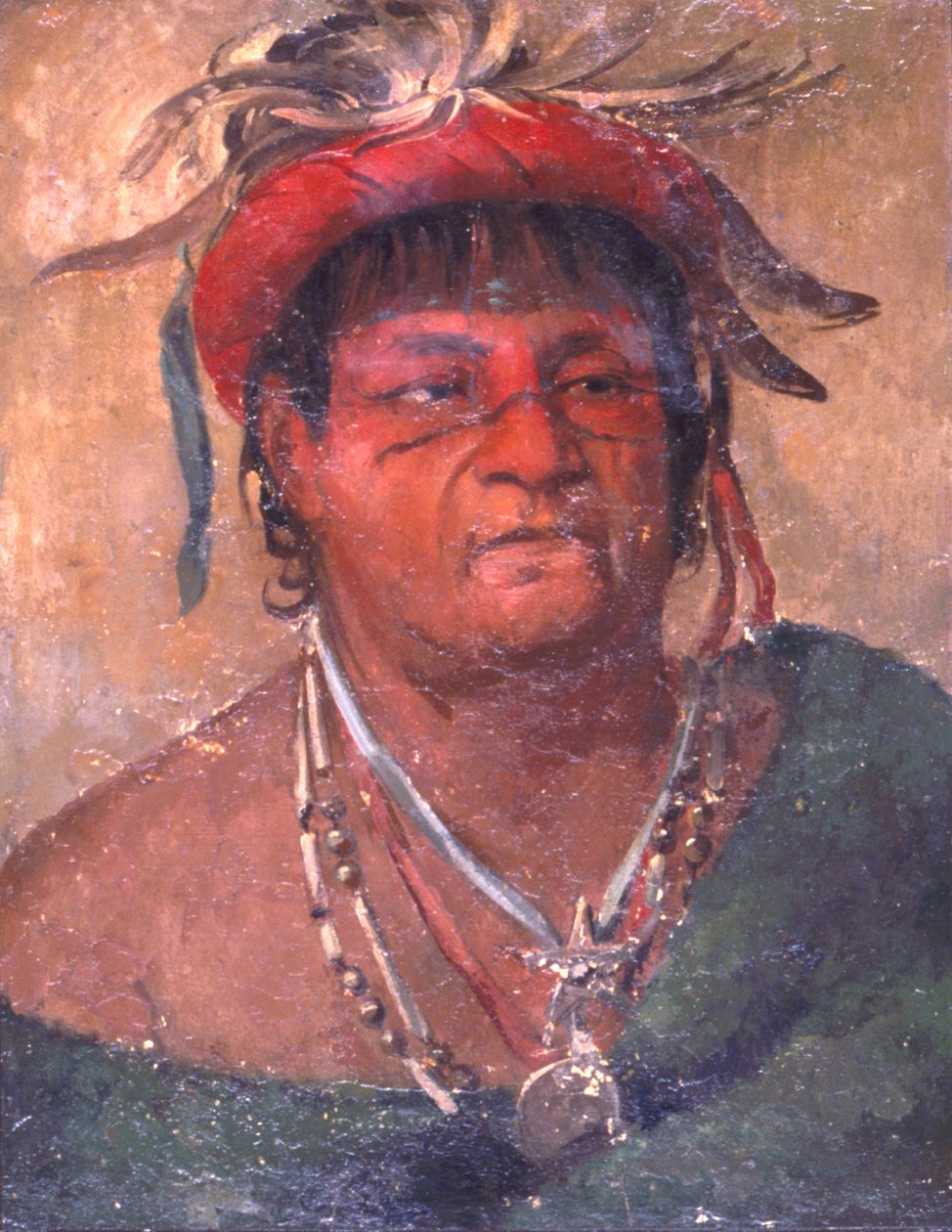 Aúh-ka-nah-paw-wáh, Tierra en pie, un viejo y valiente guerrero de George Catlin