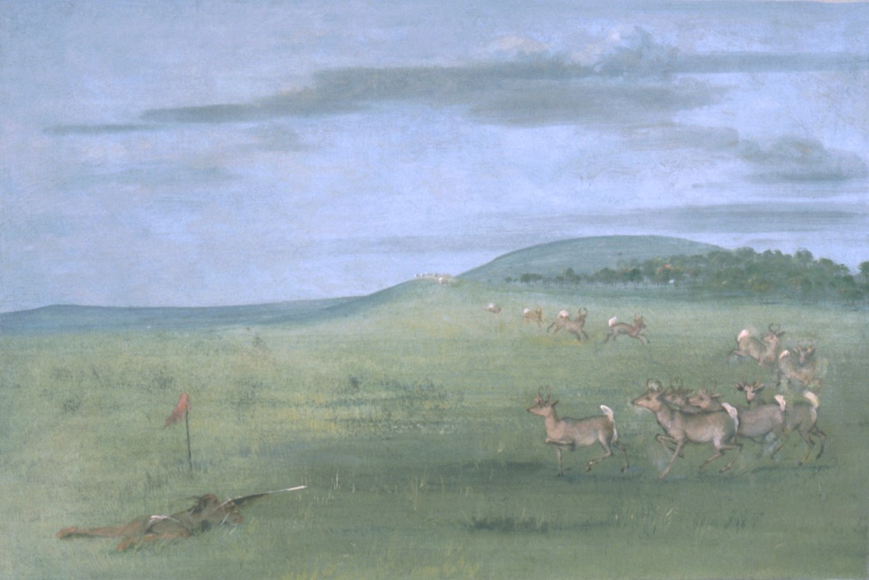 Caza de antílopes con señuelos de George Catlin