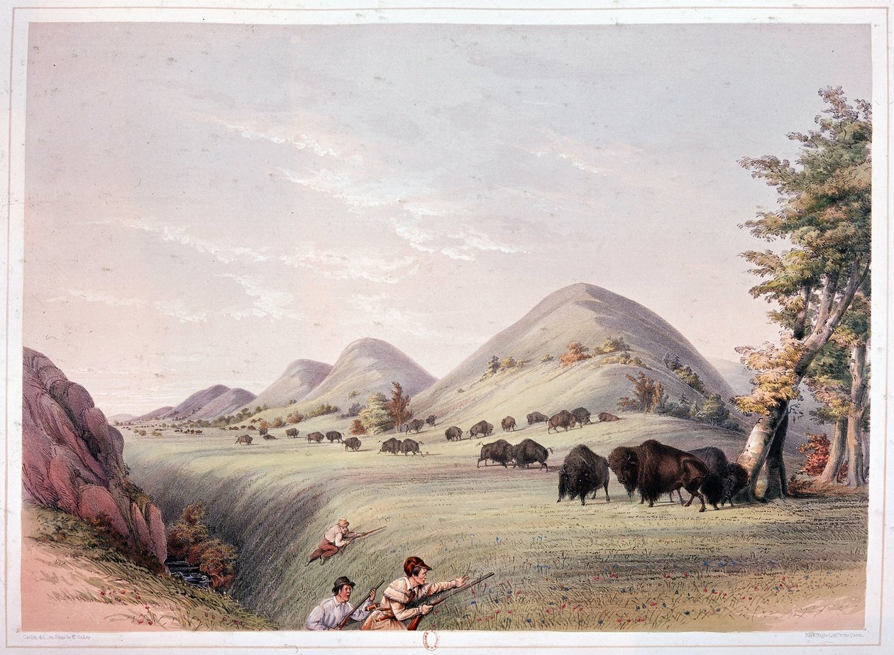 Caza de bisontes de George Catlin