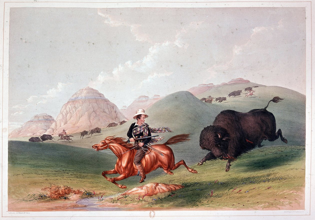 Caza de bisontes en América del Norte - litografía de Georges Catlin de George Catlin
