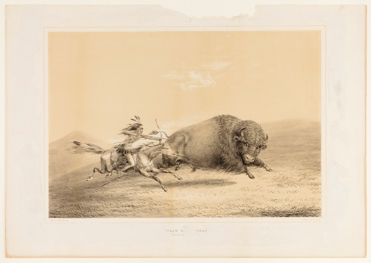 Buffalo Hunt, Chase--no. 5 de George Catlin
