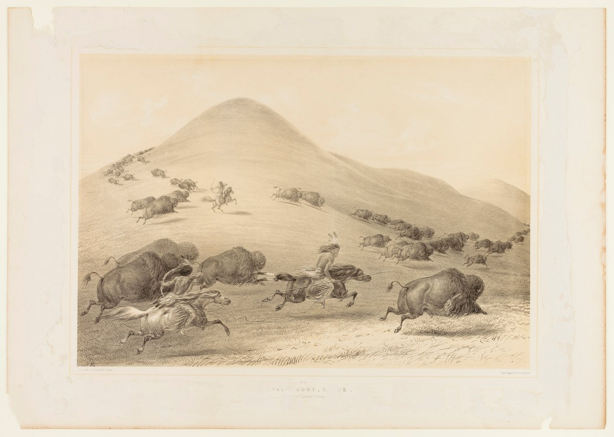 Buffalo Hunt, Chase--no. 6 de George Catlin