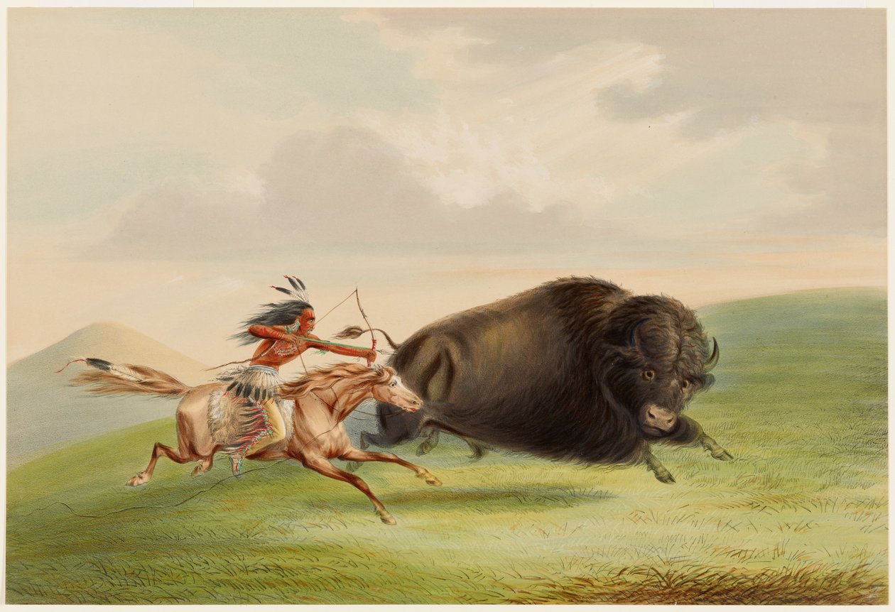 Caza del búfalo, persecución de George Catlin