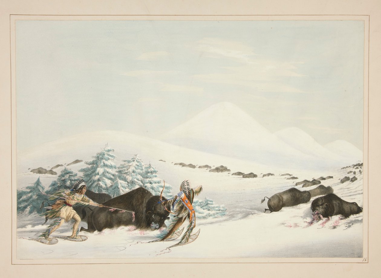 Caza de búfalos, sobre raquetas de nieve, pl. 15 de la cartera de indios norteamericanos de George Catlin