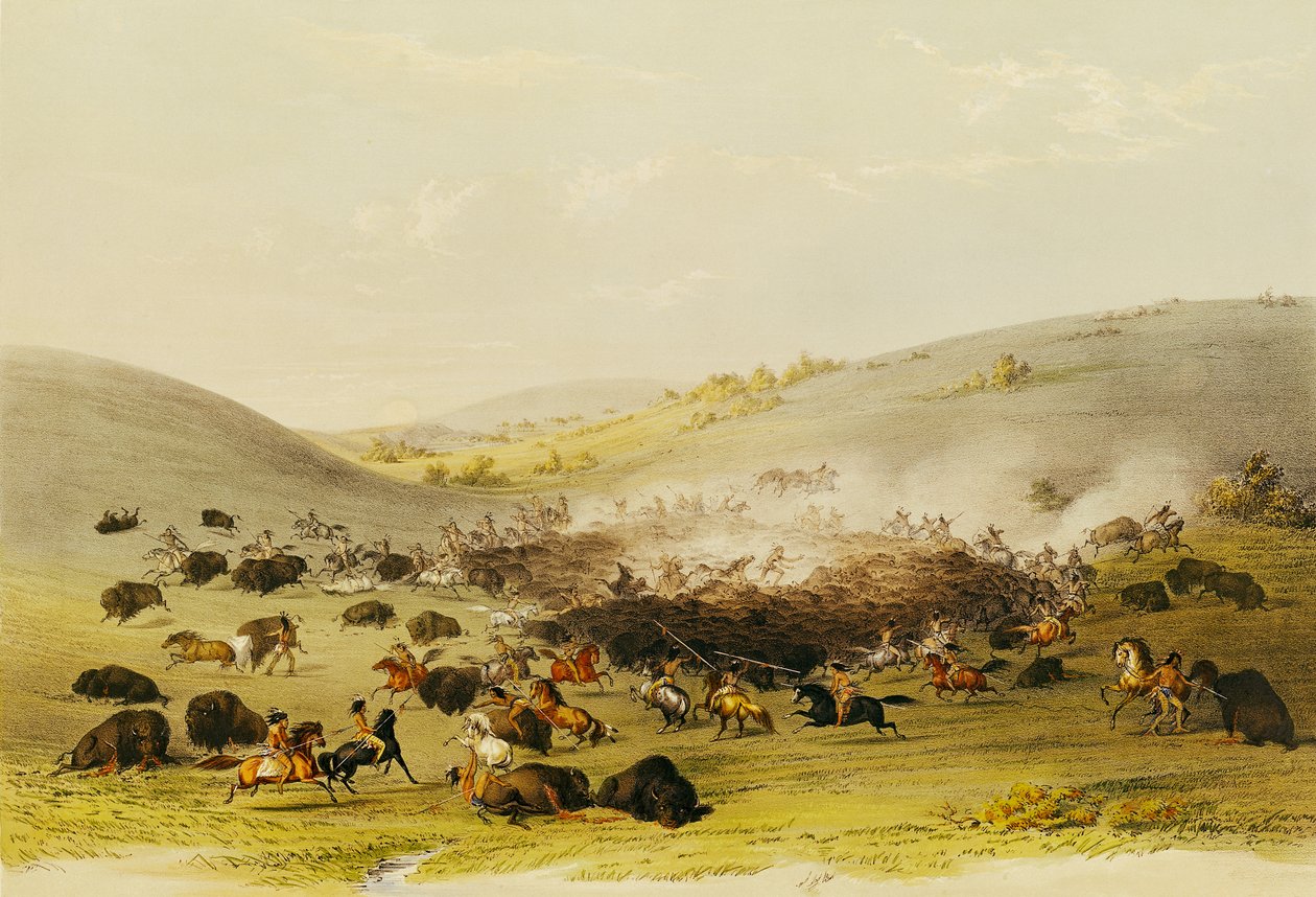 Caza de búfalos, rodeo, c.1832 de George Catlin