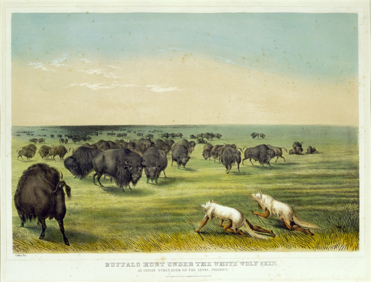 Caza de bisontes bajo la piel del lobo blanco de George Catlin