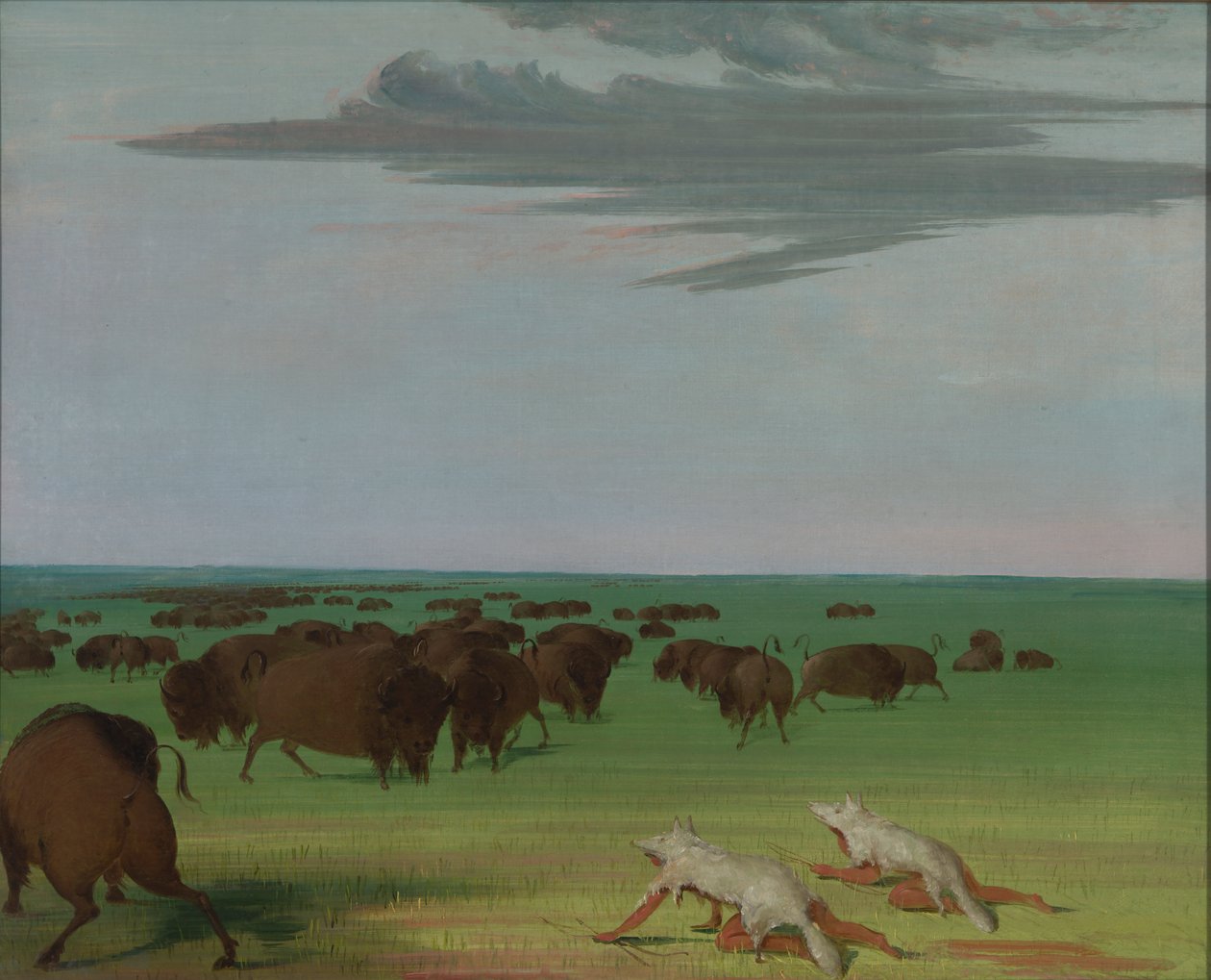 Caza de búfalos con máscara de piel de lobo de George Catlin
