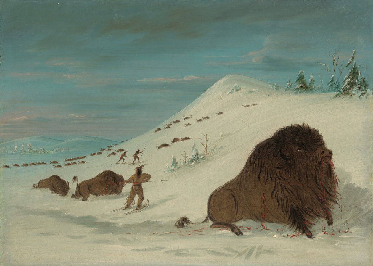 Lanceo de búfalos en los ventisqueros - Sioux de George Catlin