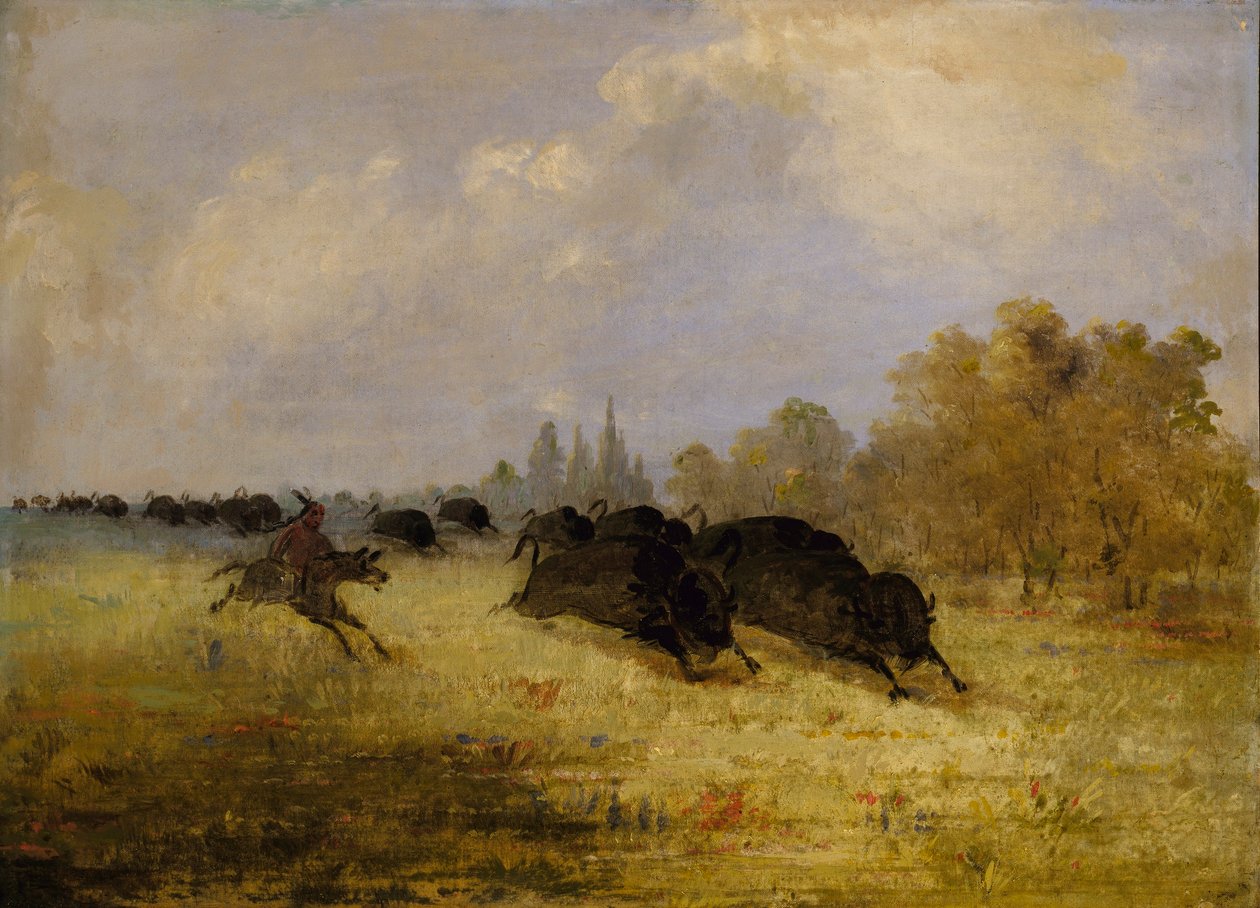 Indios Caddo persiguiendo búfalos, Cross Timbers, Texas de George Catlin