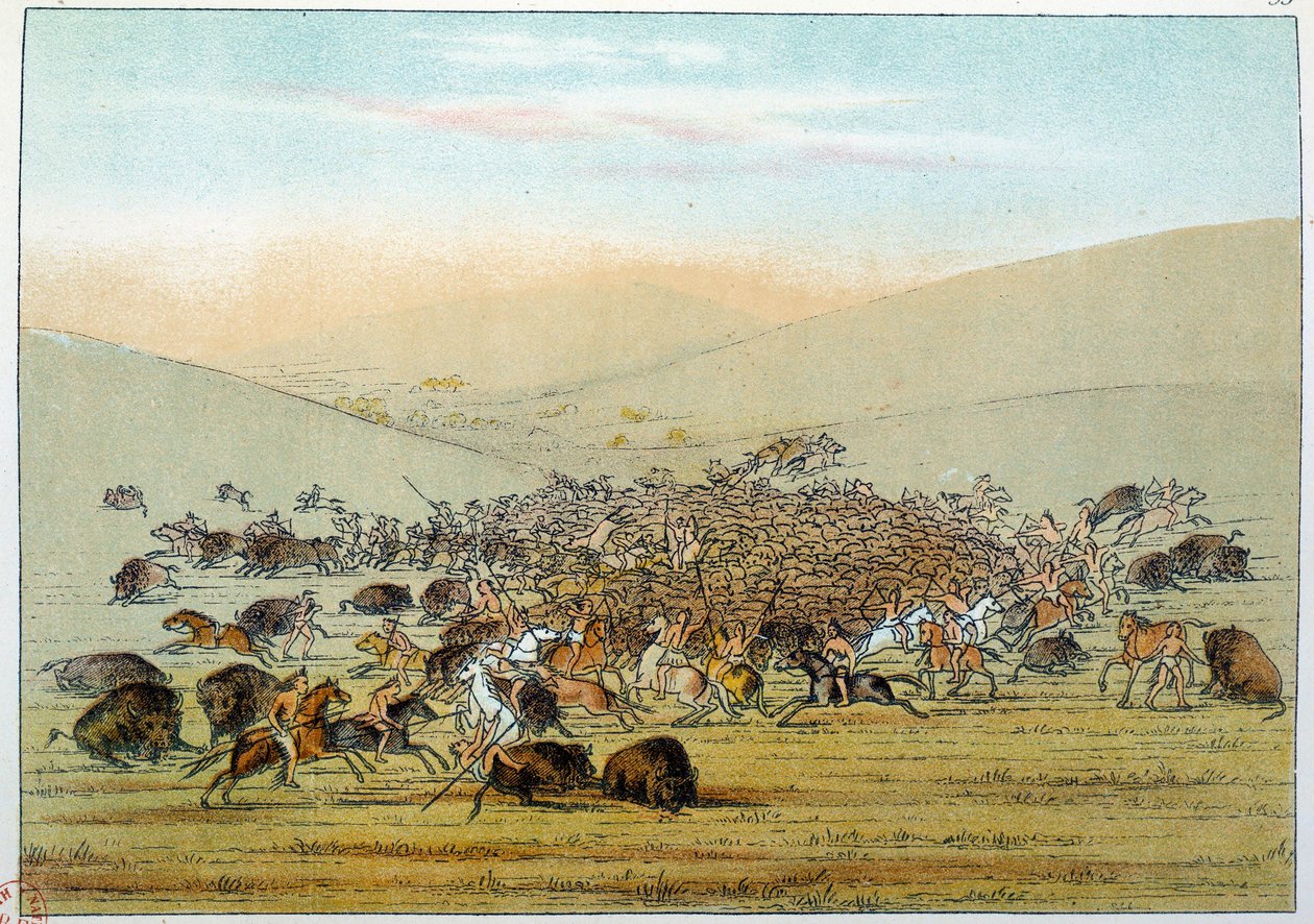 Indios de América: indios miniatarees cazando búfalos con lanzas. Ilustración de George Catlin (1794-1872). de George Catlin