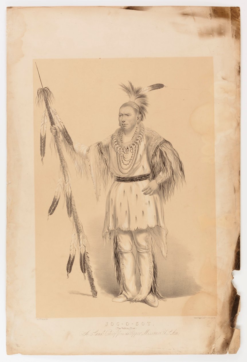 Joc-o-set, el Oso Andante de George Catlin