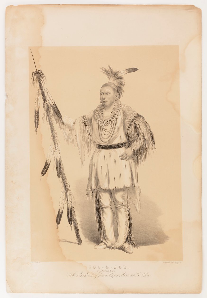 Joc-o-sot, el Oso Caminante de George Catlin