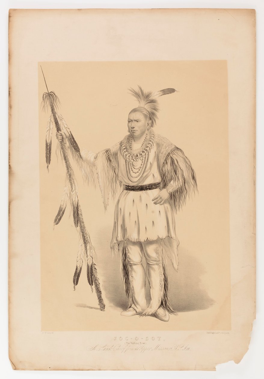 Joc-o-sot, el Oso Caminante de George Catlin