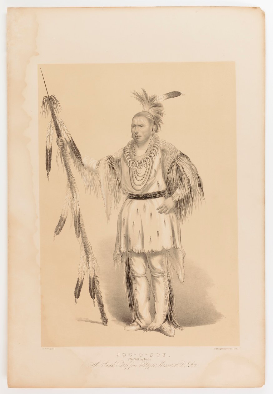 Joc-o-sot, el Oso Caminante de George Catlin