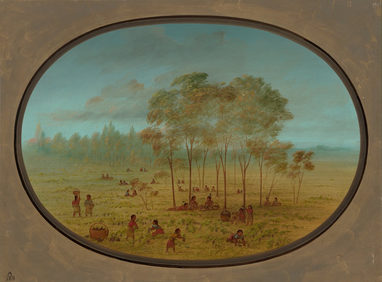 Indios Kiowa recolectando uvas silvestres, 1861-1869 de George Catlin