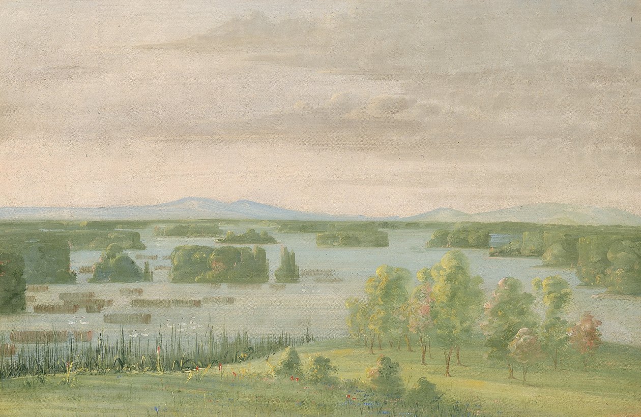 Lac du Cygne (Lago de los Cisnes), cerca del Coteau des Prairies de George Catlin