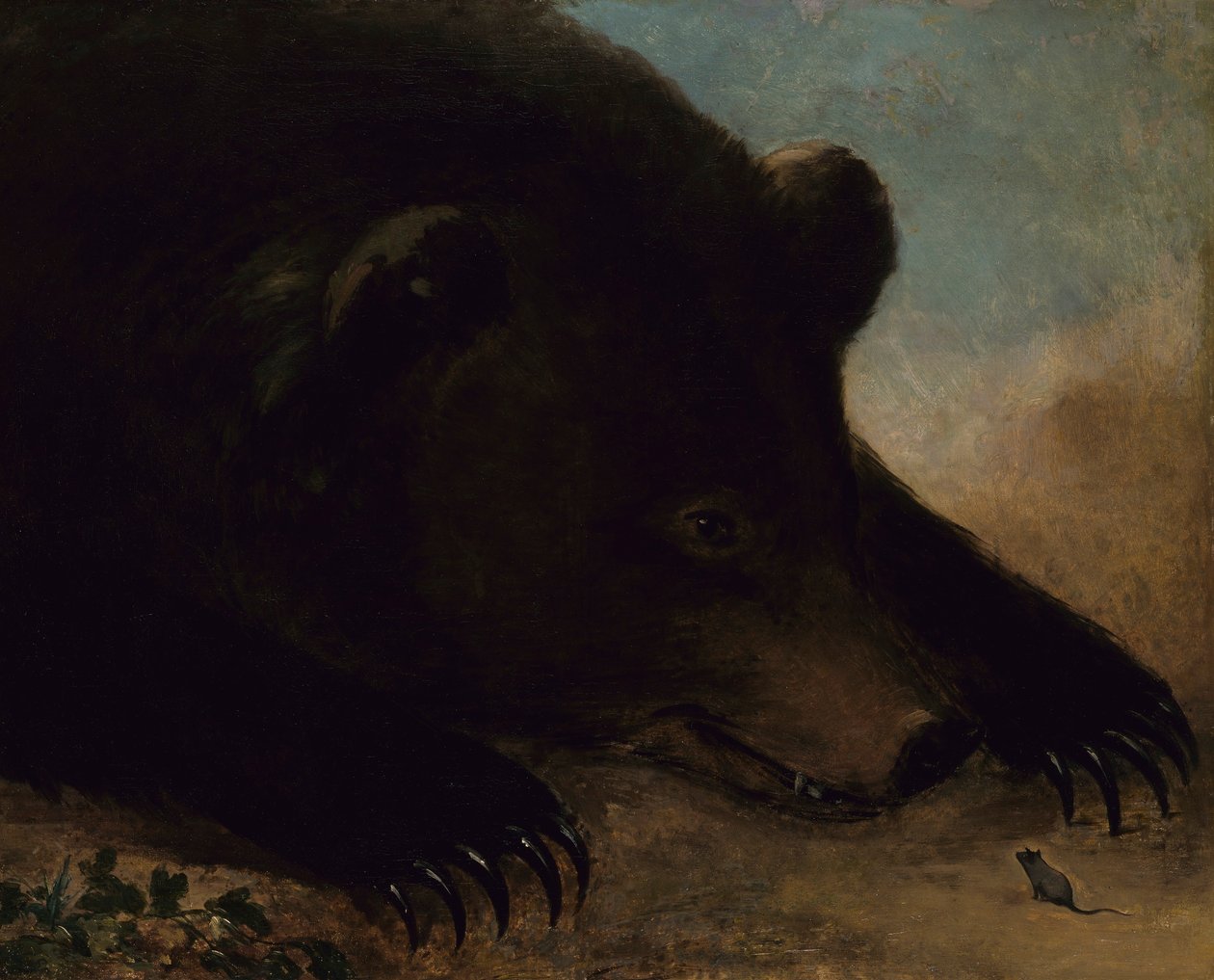 Retratos de un oso pardo y un ratón, tamaño natural de George Catlin