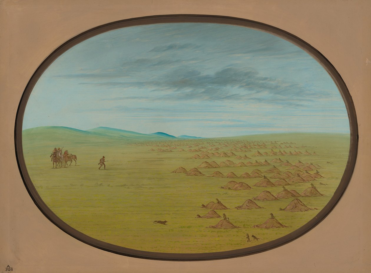 Aldea de Perros de la Pradera, 1861-1869 de George Catlin