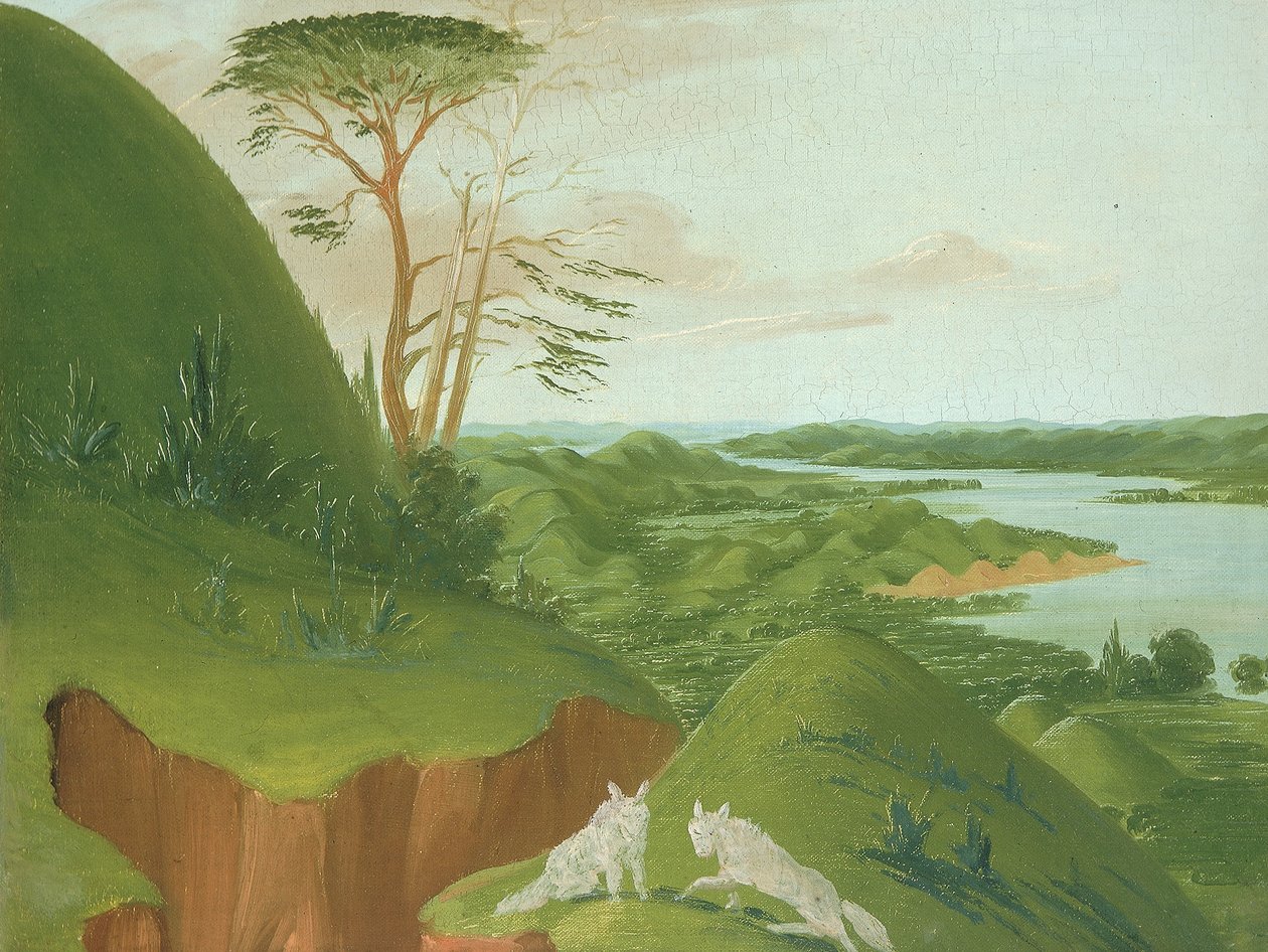 Acantilados fluviales con lobos blancos en primer plano, curso alto del río Misuri de George Catlin