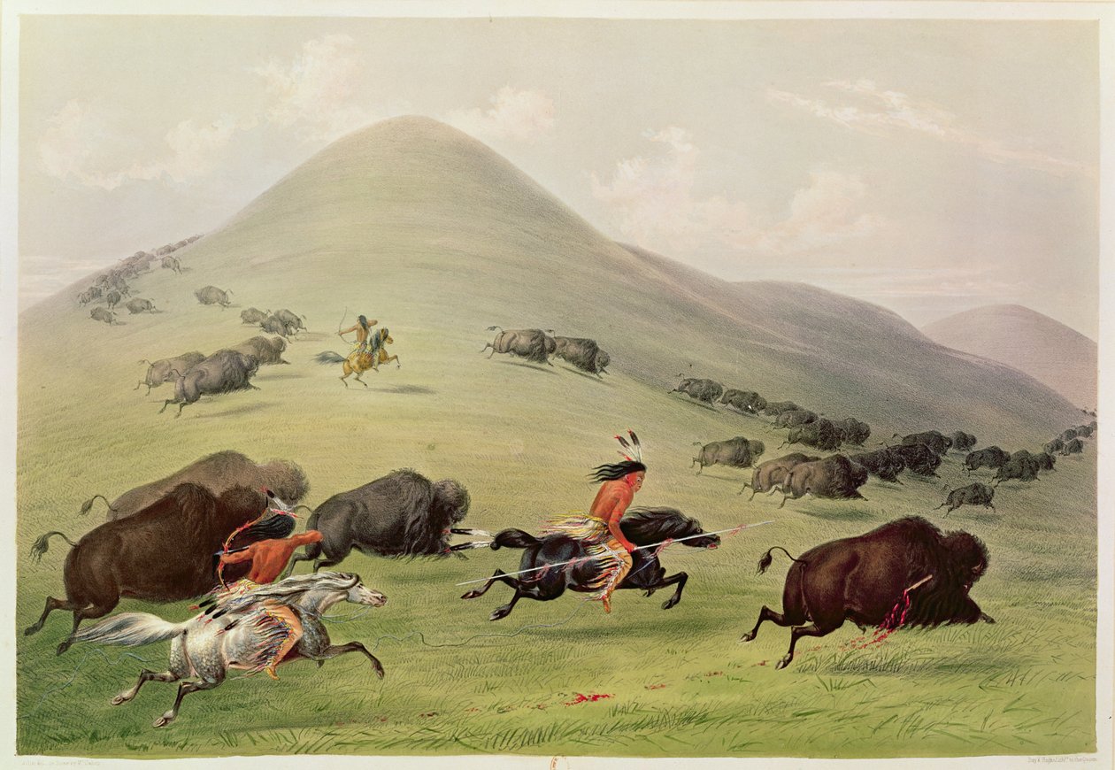 La Caza del Búfalo, c.1832 de George Catlin