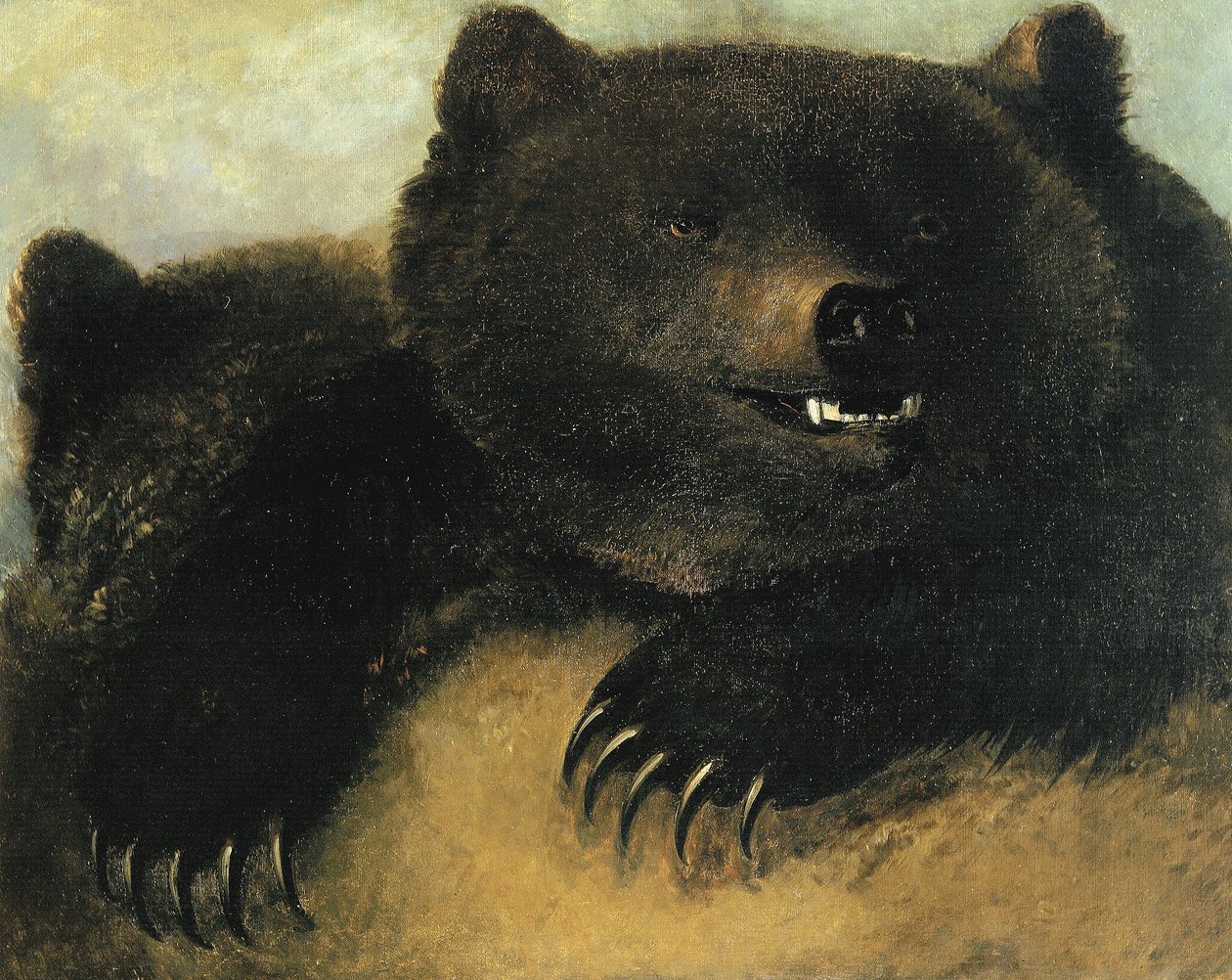 Armas y fisonomía del oso pardo de George Catlin