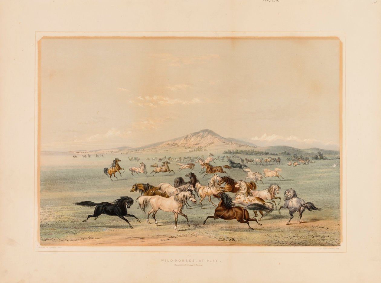 Caballos salvajes jugando--no. 3 de George Catlin