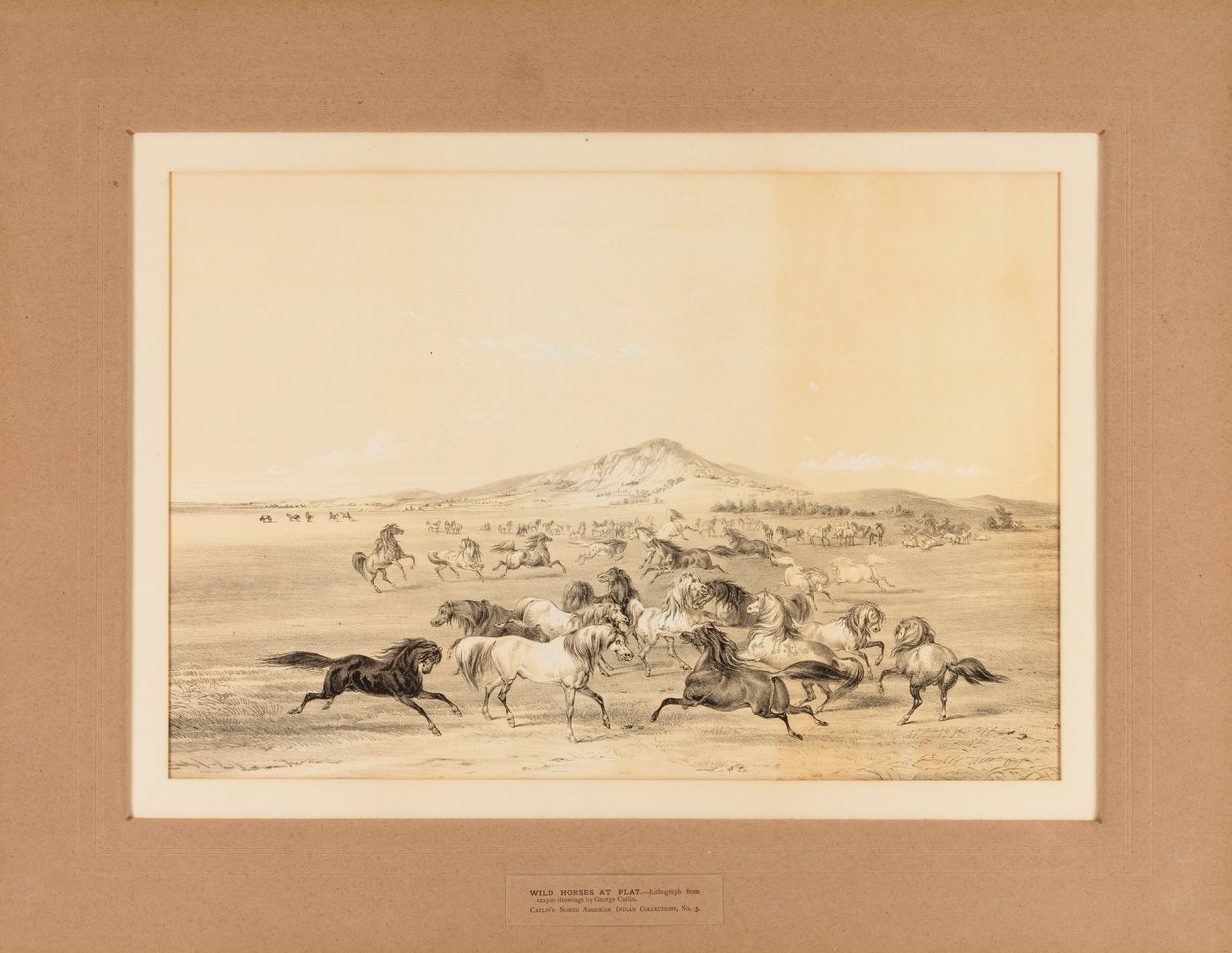 Caballos salvajes jugando--no. 3 de George Catlin