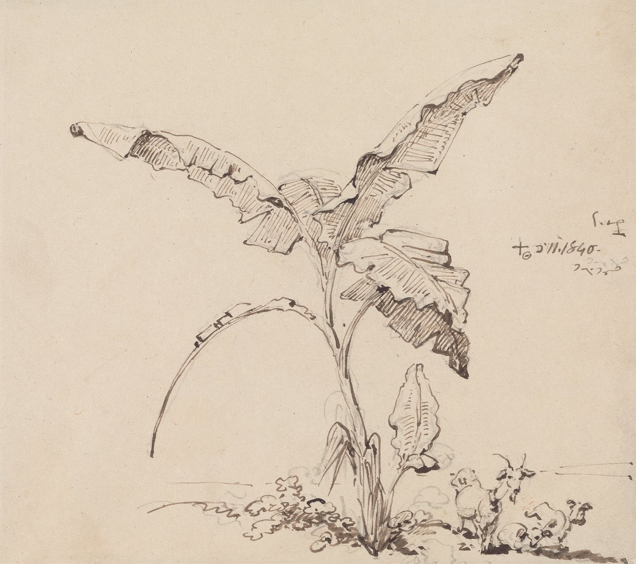 Cabras bajo un platanero de George Chinnery