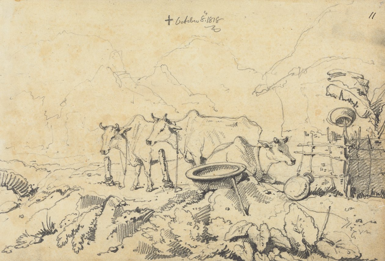 Tres vacas atadas de George Chinnery