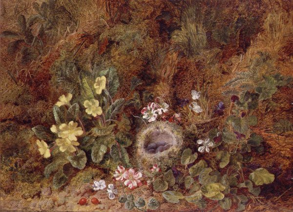 Naturaleza Muerta con Nido de Pájaros y Flores Silvestres de George Clare