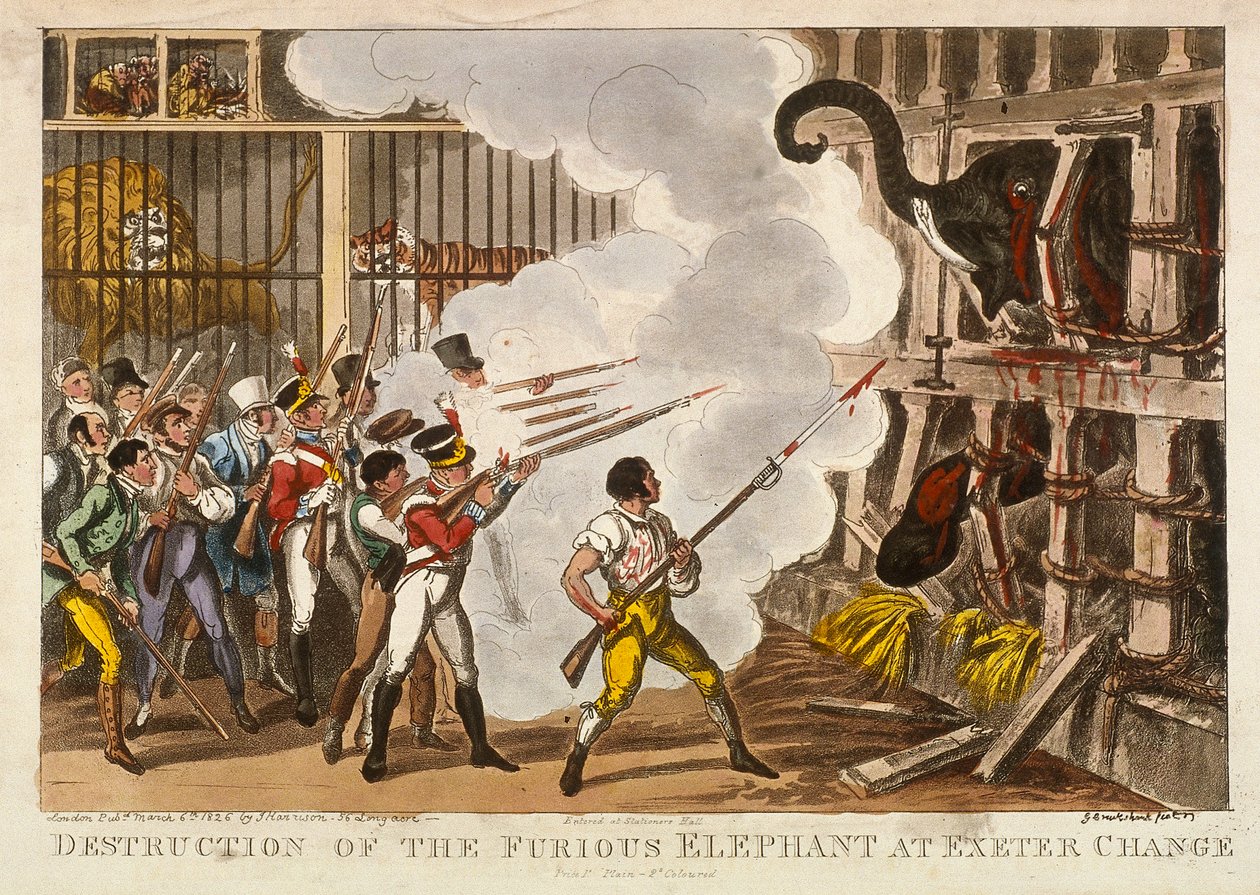 Destrucción del Elefante Furioso en Exeter Change, 1826 de George Cruikshank
