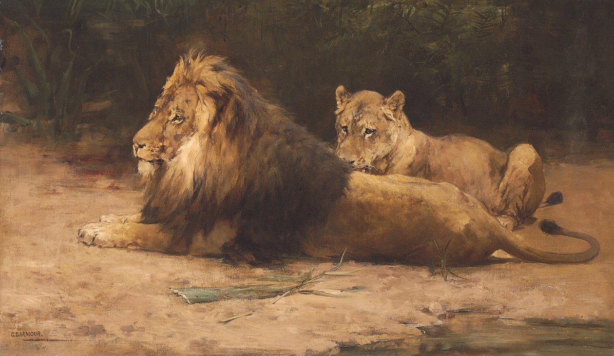 León y leona descansando (óleo sobre lienzo) de George Denholm Armour