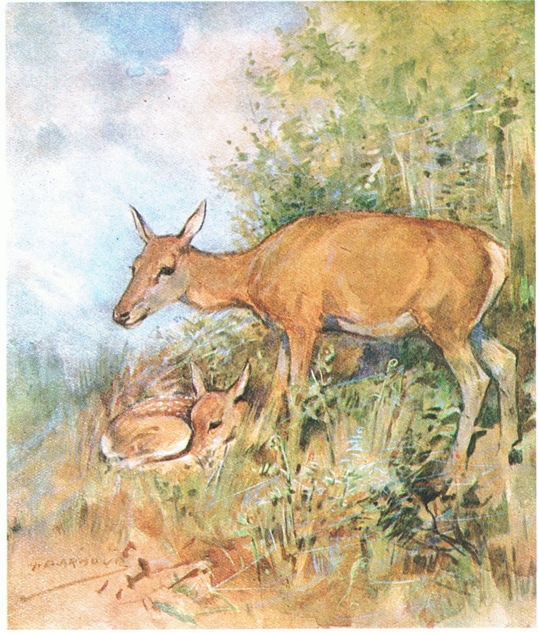 Siempre tenía preparada una acogedora cama de hierba o helecho (litografía en color) de George Denholm Armour