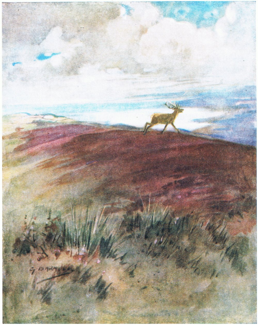 El aire era cercano y pesado mientras bajaba a galope de la cresta (litografía en color) de George Denholm Armour