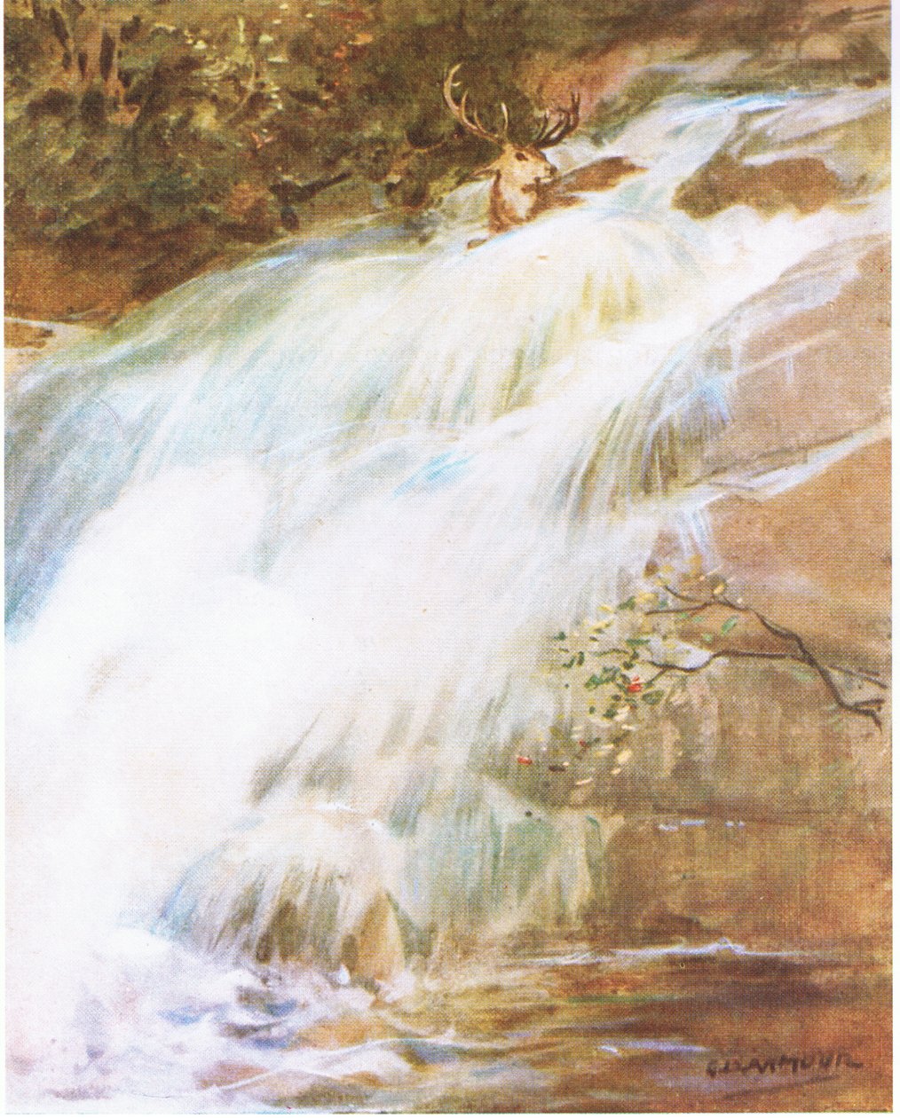 Lanzando la cabeza al aire en un último acto de desafío, se lanzó a la cascada (litografía en color) de George Denholm Armour