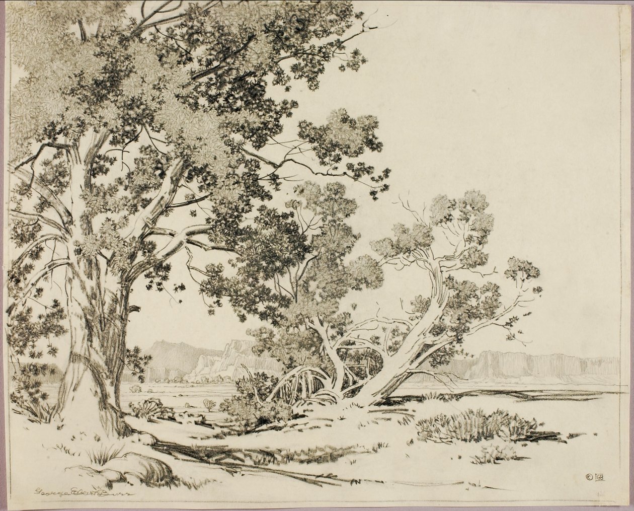 (Sin título) de George Elbert Burr