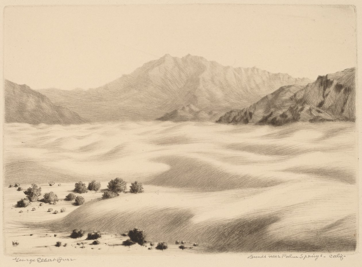 Dunas cerca de Palm Springs, California (n.º 2) de George Elbert Burr