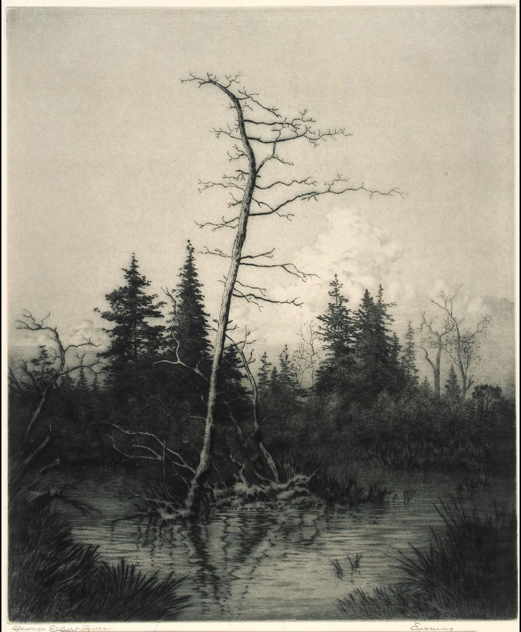 Por la noche de George Elbert Burr