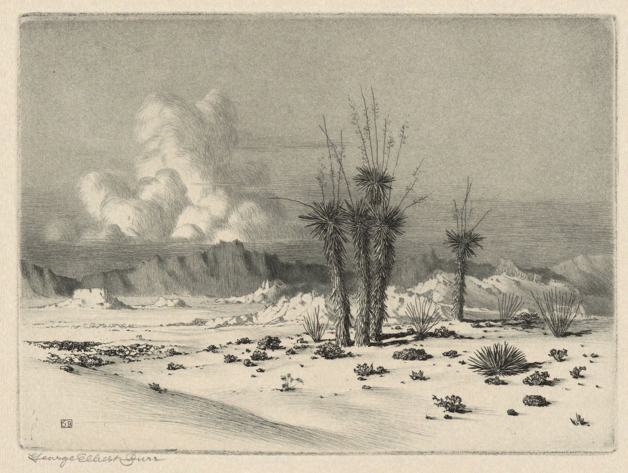 Tarde, Arizona de George Elbert Burr