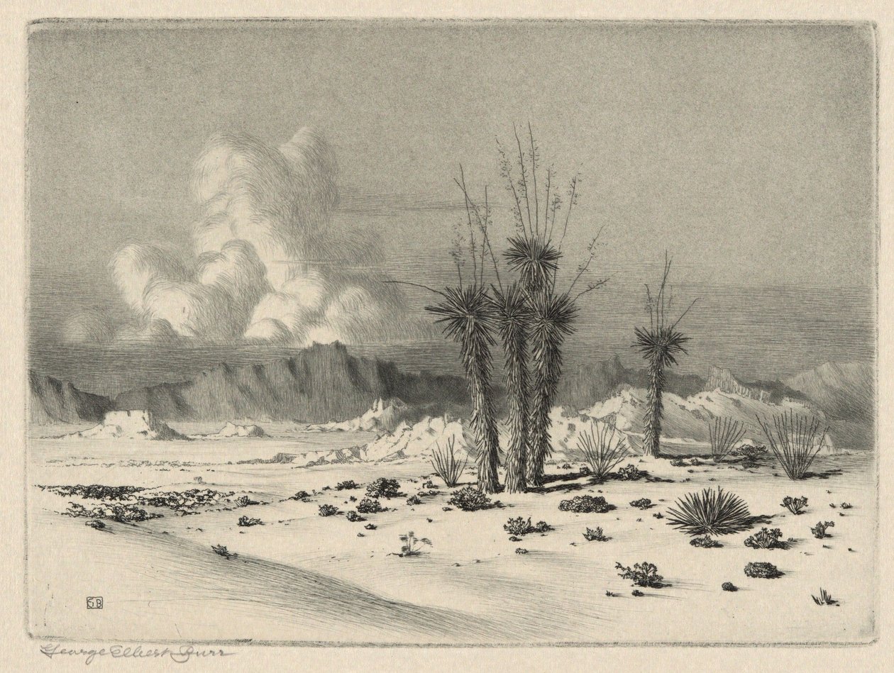 Atardecer, Arizona de George Elbert Burr