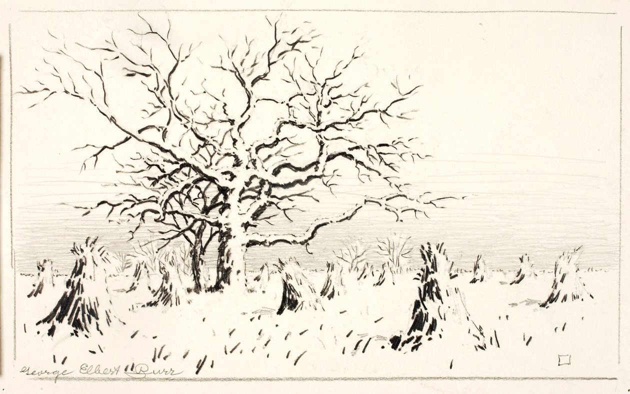 Motivo del grabado de George Elbert Burr