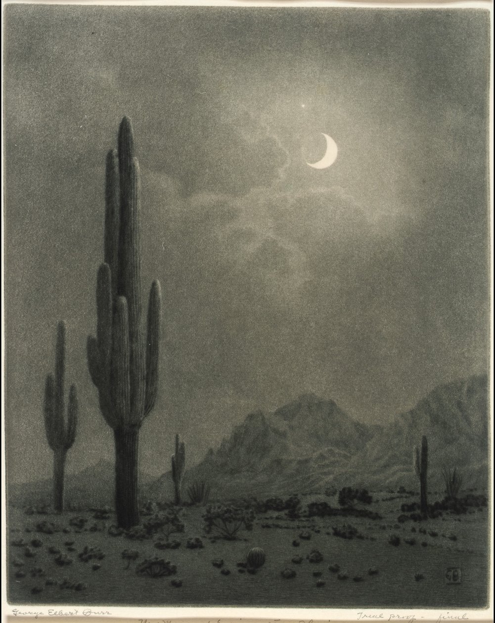 Luna Nueva y Estrella Vespertina, Phoenix de George Elbert Burr