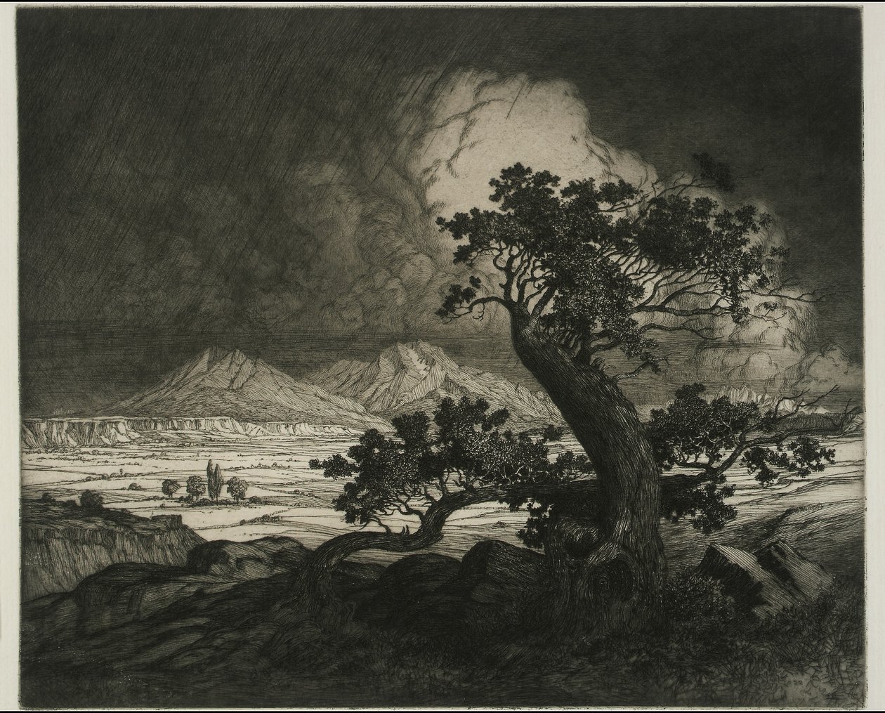 Viejos cedros y picos españoles de George Elbert Burr