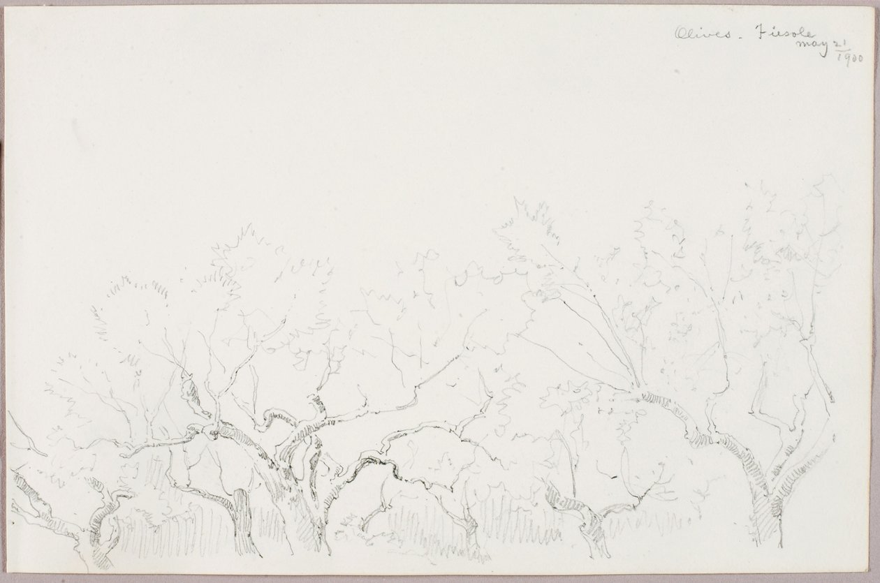 Aceitunas--Fiesole de George Elbert Burr