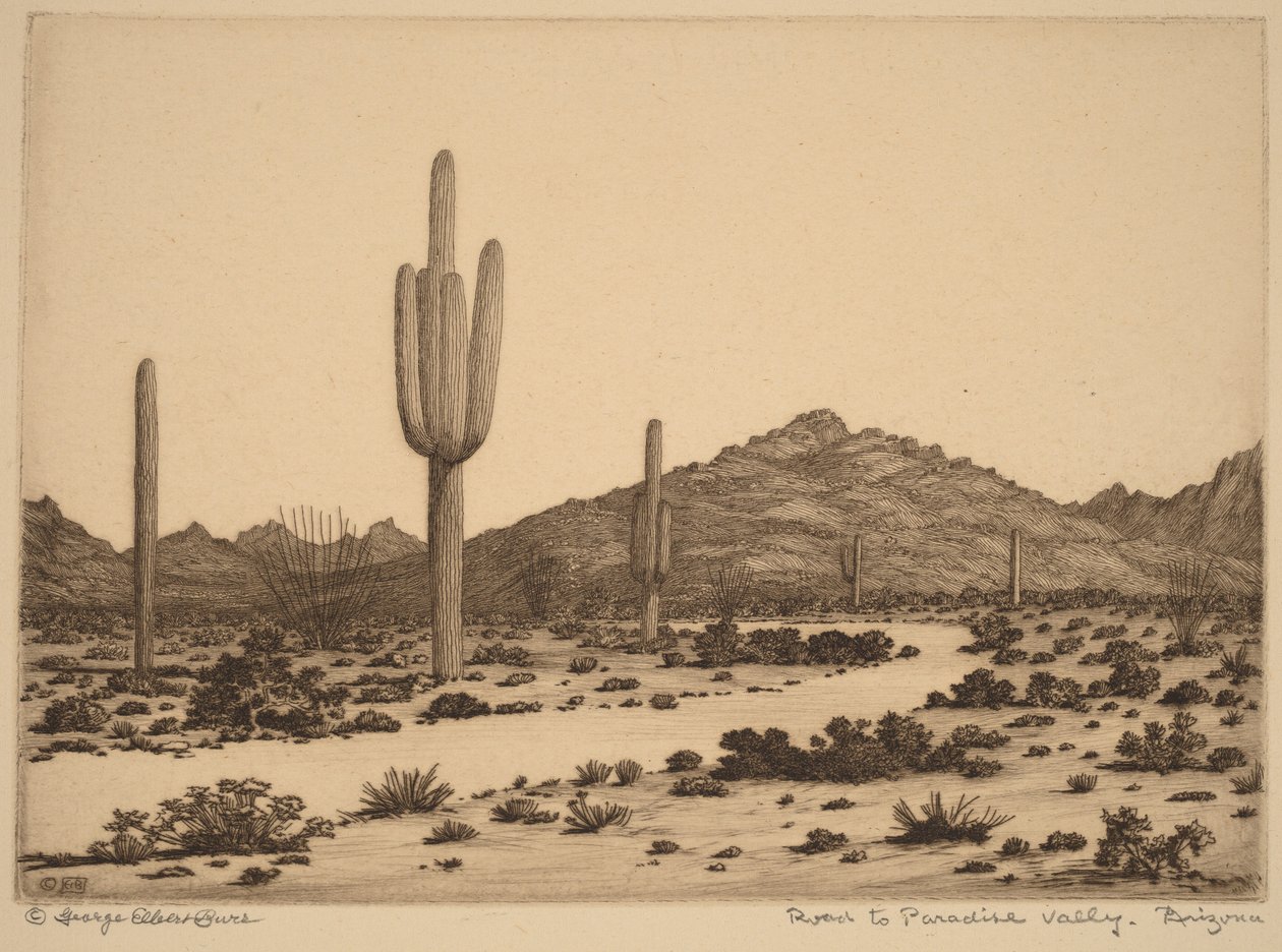 Carretera hacia Paradise Valley, Arizona de George Elbert Burr