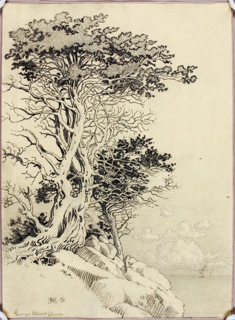 Sin título (dibujo para impresión) de George Elbert Burr