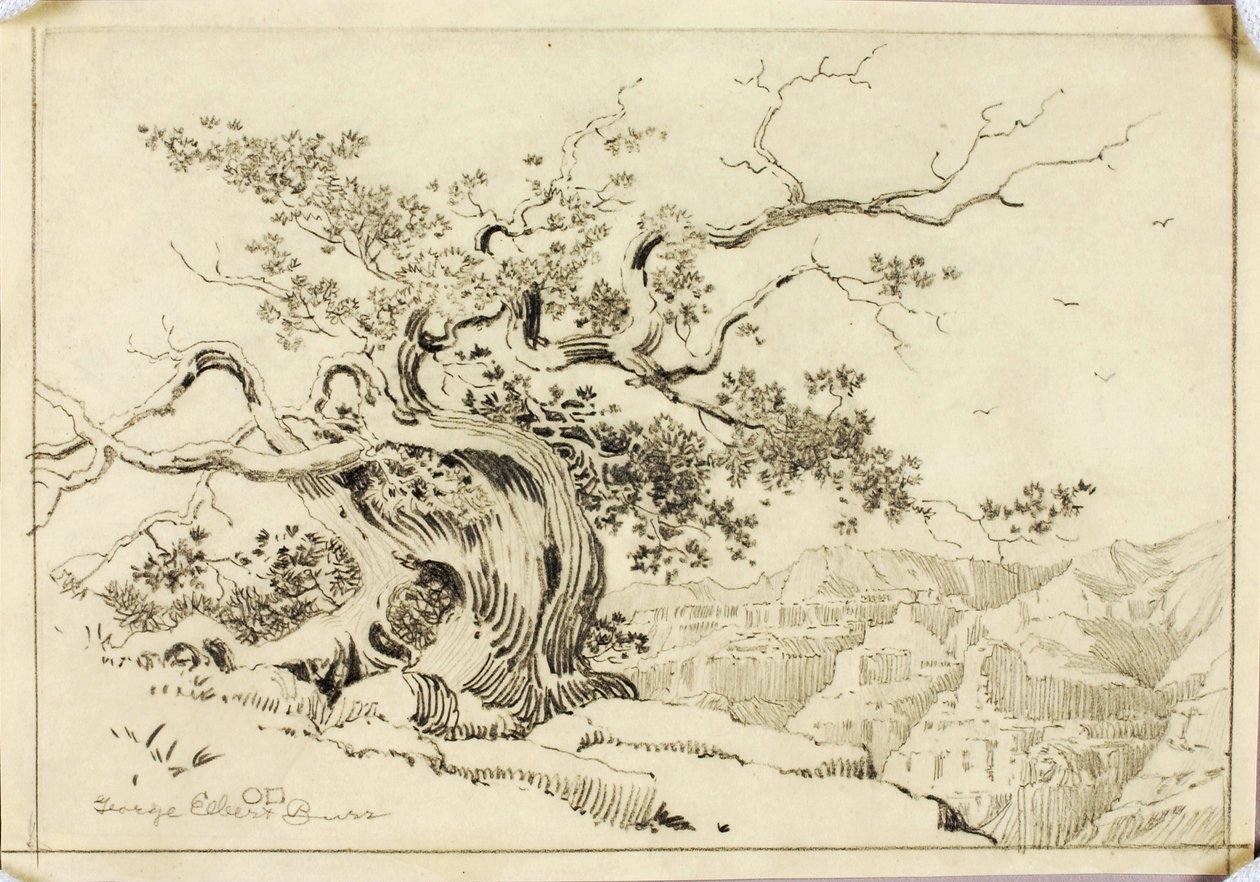 Sin título (dibujo de transferencia para Atardecer, Apache Trail, Arizona) de George Elbert Burr